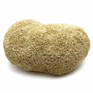 Dry Lion's mane (Hericium erinaceus)