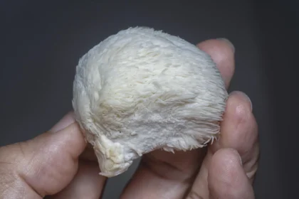 Hericium erinaceus