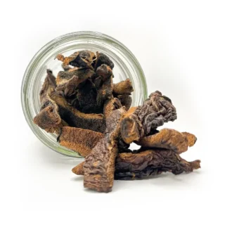 Maślak zwyczajny (Suillus luteus)