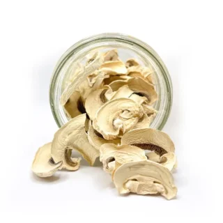 Pieczarka dwuzarodnikowa (Agaricus bisporus)