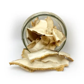 Twardnik japoński (Lentinula edodes)