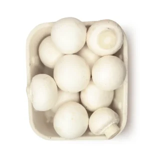 Pieczarka świeża (Agaricus bisporus)