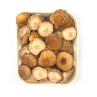 Twardnik japoński (Lentinula edodes)