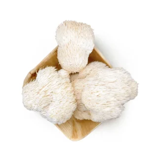 Soplówka jeżowata ()Hericium erinaceus